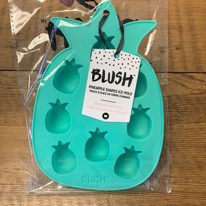 Blush Pineapple Ice Tray